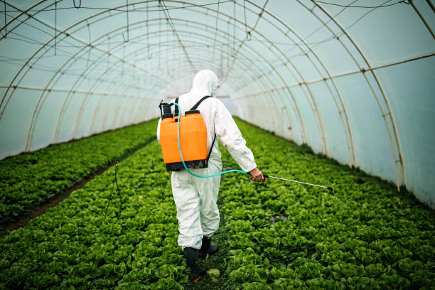Pest Control Cost in Naval Academy, MD